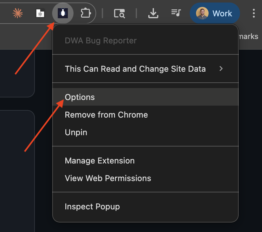 Right-click extension icon, select Options